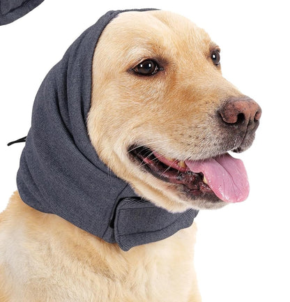 Dog wearing gray calming ear wrap hoodie