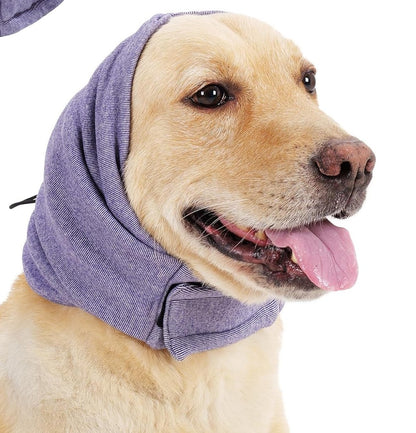 Dog wearing purple calming ear wrap hoodie
