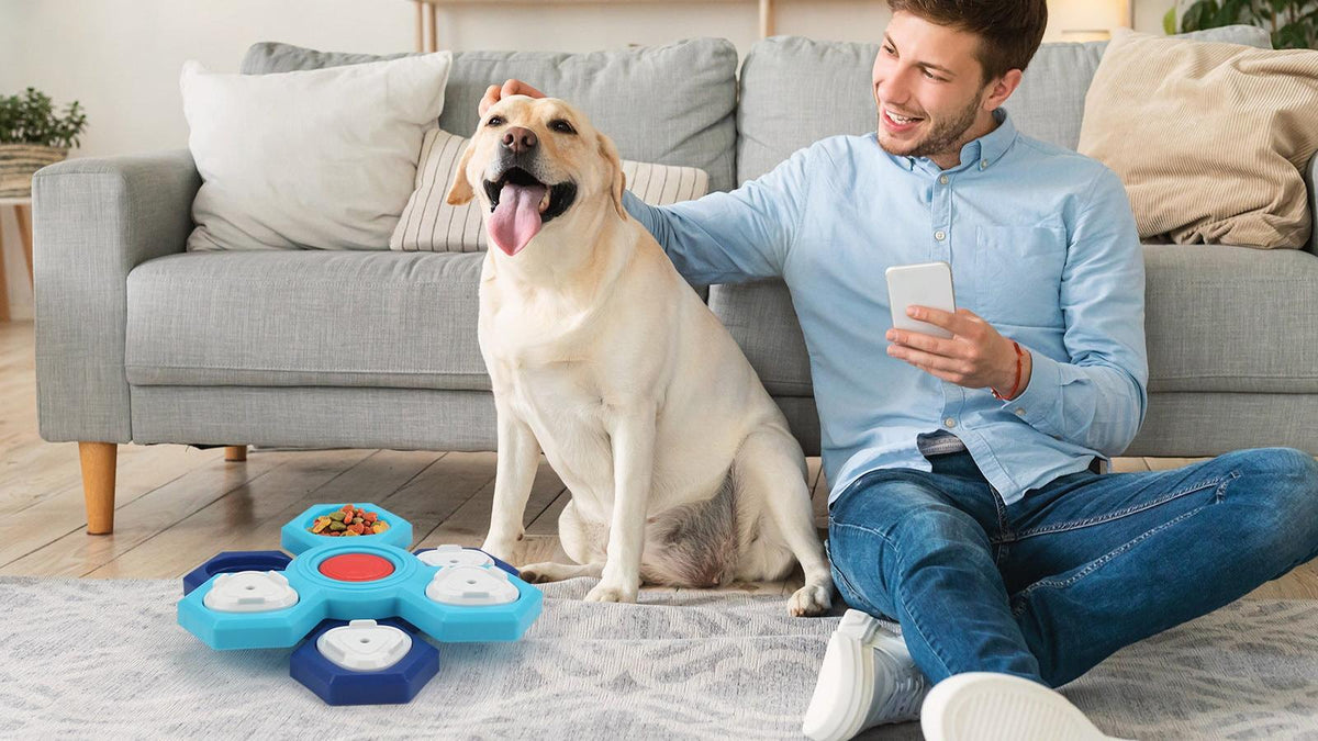 Puzzle feeder bowl on the living room floor next to a dog and its owner